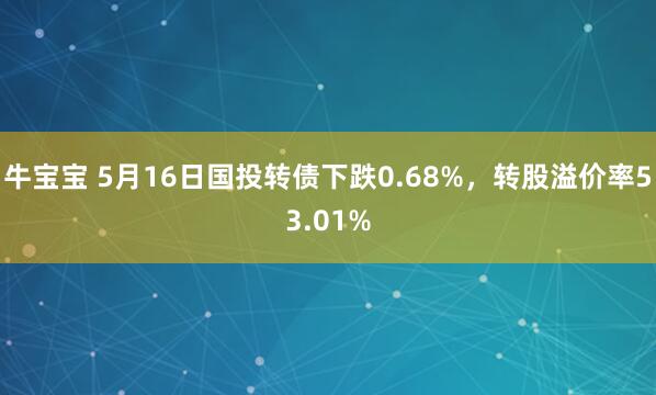 牛宝宝 5月16日国投转债下跌0.68%，转股溢价率53.01%