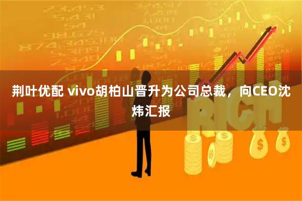 荆叶优配 vivo胡柏山晋升为公司总裁，向CEO沈炜汇报